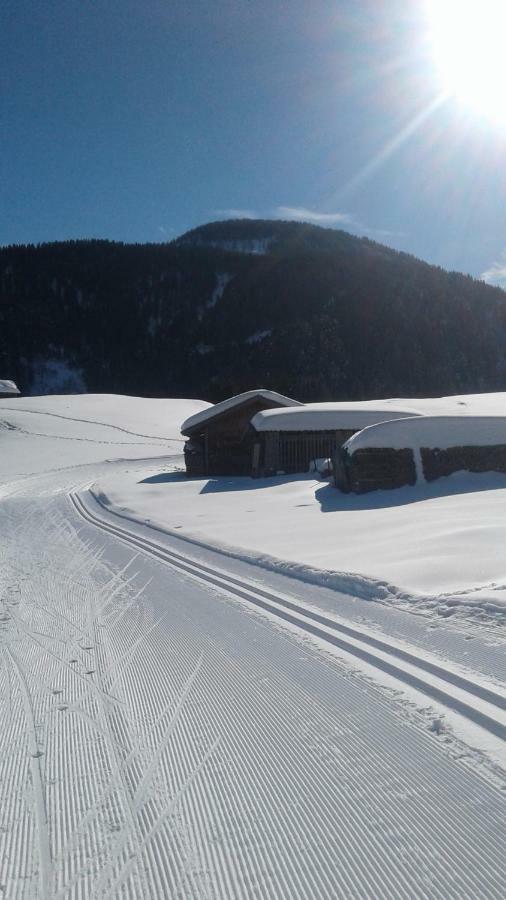 Pension Anderlehof Sankt Lorenzen im Lesachtal Екстериор снимка